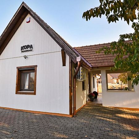 Kopa Vendeghaz Daire Szigetvár Dış mekan fotoğraf